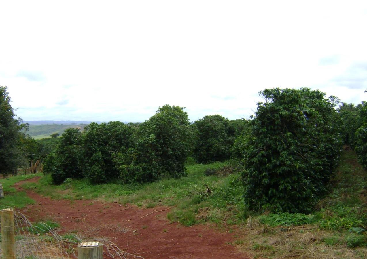 Sitio Sao Benedito São Roque de Minas エクステリア 写真